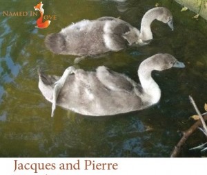 Jacques and Pierre